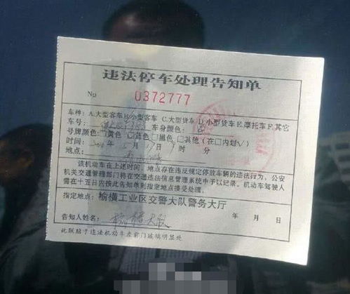 汽车罚款交罚款多少 汽车罚款交罚款多少